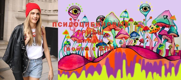 марки nbome Богданович