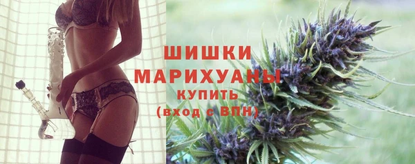 mix Богородск