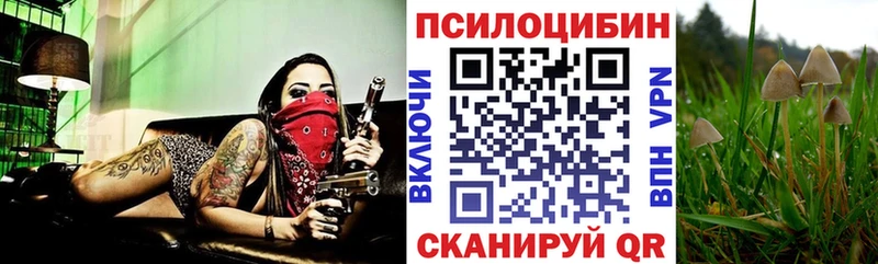 Галлюциногенные грибы мицелий  MEGA маркетплейс  Благовещенск 